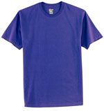 5250 Hanes tagless T-shirt in purple